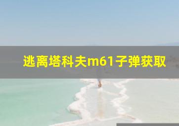 逃离塔科夫m61子弹获取