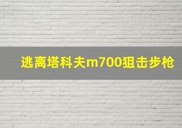 逃离塔科夫m700狙击步枪