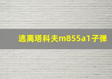 逃离塔科夫m855a1子弹