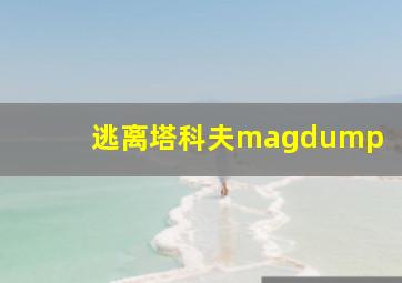 逃离塔科夫magdump