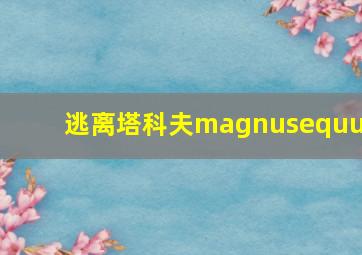 逃离塔科夫magnusequus