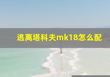 逃离塔科夫mk18怎么配