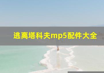 逃离塔科夫mp5配件大全