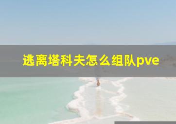 逃离塔科夫怎么组队pve