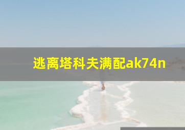 逃离塔科夫满配ak74n