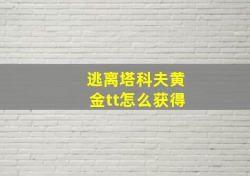 逃离塔科夫黄金tt怎么获得