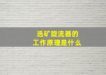 选矿旋流器的工作原理是什么