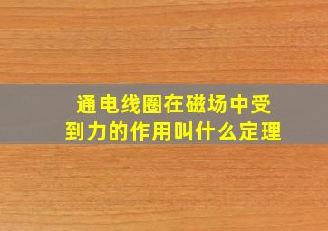 通电线圈在磁场中受到力的作用叫什么定理