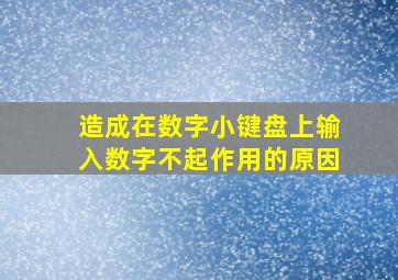 造成在数字小键盘上输入数字不起作用的原因