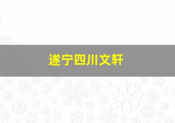 遂宁四川文轩