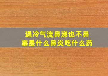 遇冷气流鼻涕也不鼻塞是什么鼻炎吃什么药