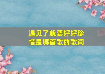 遇见了就要好好珍惜是哪首歌的歌词