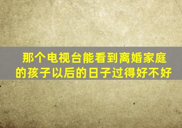 那个电视台能看到离婚家庭的孩子以后的日子过得好不好