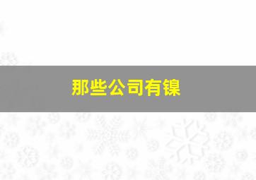 那些公司有镍