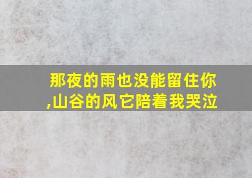 那夜的雨也没能留住你,山谷的风它陪着我哭泣