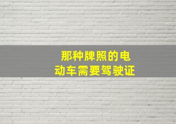 那种牌照的电动车需要驾驶证