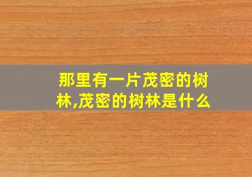 那里有一片茂密的树林,茂密的树林是什么