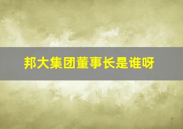 邦大集团董事长是谁呀