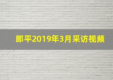 郎平2019年3月采访视频