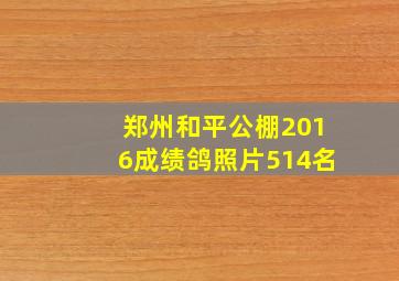 郑州和平公棚2016成绩鸽照片514名