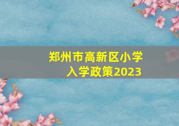 郑州市高新区小学入学政策2023