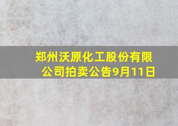 郑州沃原化工股份有限公司拍卖公告9月11日