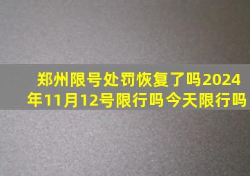 郑州限号处罚恢复了吗2024年11月12号限行吗今天限行吗