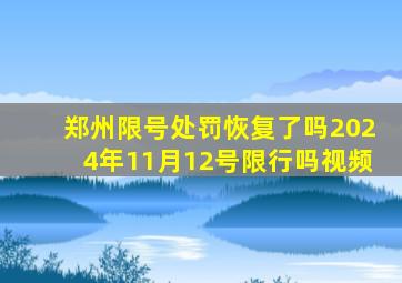 郑州限号处罚恢复了吗2024年11月12号限行吗视频