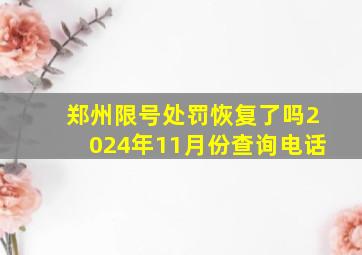 郑州限号处罚恢复了吗2024年11月份查询电话