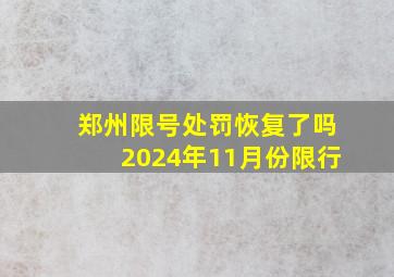 郑州限号处罚恢复了吗2024年11月份限行