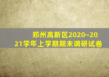 郑州高新区2020~2021学年上学期期末调研试卷