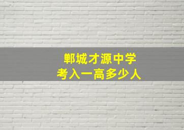 郸城才源中学考入一高多少人