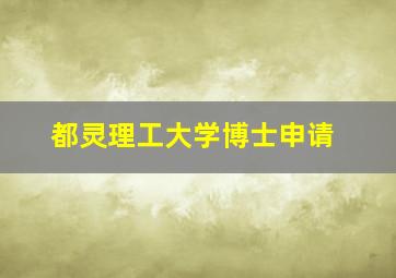 都灵理工大学博士申请