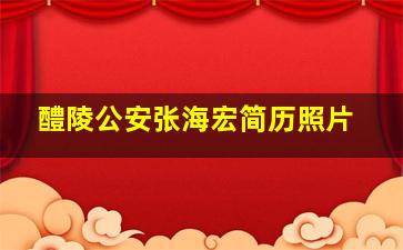 醴陵公安张海宏简历照片