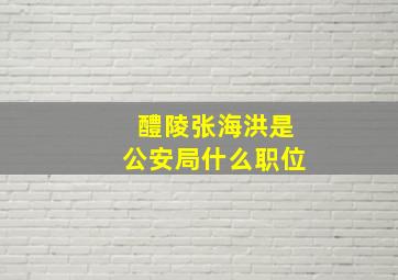 醴陵张海洪是公安局什么职位