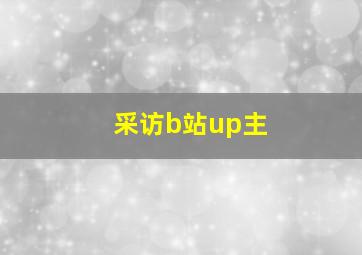 采访b站up主