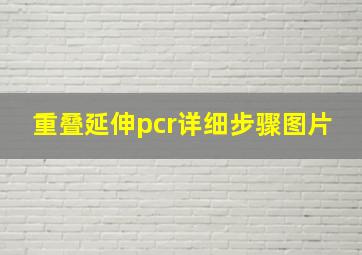 重叠延伸pcr详细步骤图片