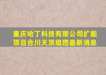 重庆哈丁科技有限公司扩能项目合川天顶组团最新消息