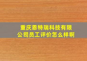 重庆恩特瑞科技有限公司员工评价怎么样啊