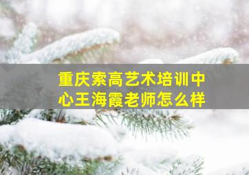 重庆索高艺术培训中心王海霞老师怎么样