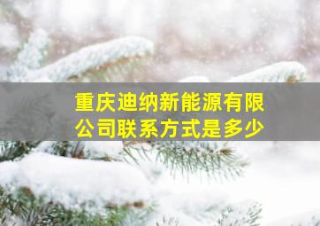 重庆迪纳新能源有限公司联系方式是多少