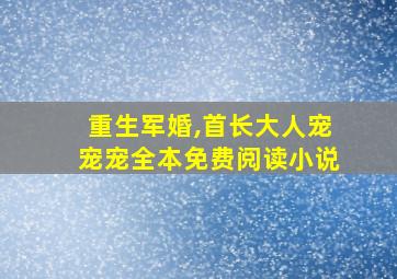 重生军婚,首长大人宠宠宠全本免费阅读小说