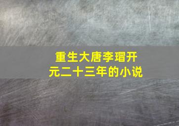 重生大唐李瑁开元二十三年的小说