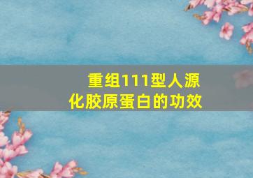 重组111型人源化胶原蛋白的功效