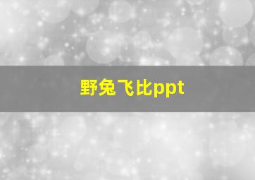 野兔飞比ppt