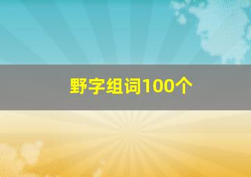 野字组词100个