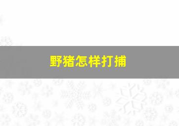 野猪怎样打捕