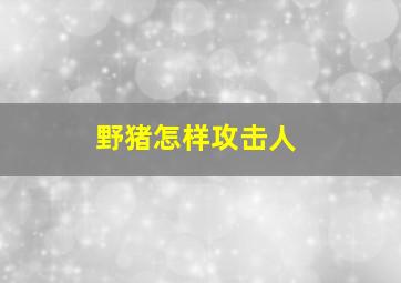 野猪怎样攻击人