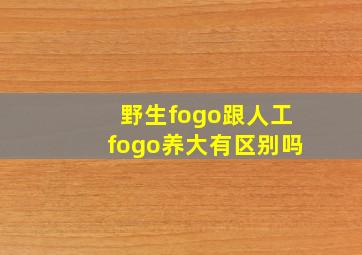 野生fogo跟人工fogo养大有区别吗