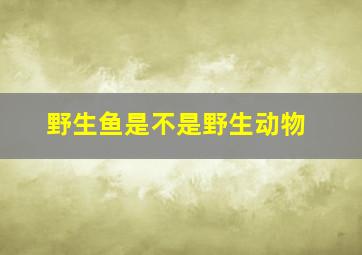 野生鱼是不是野生动物